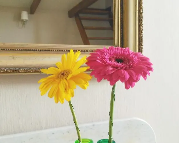 Gasthof Silene Orotava